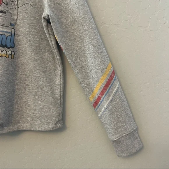 ⭐️Disney Parks Disneyland resort vintage look crop hooded sweatshirt size medium - Picture 10 of 16